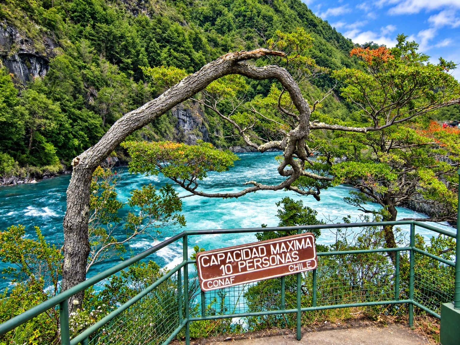 Türkisfarbenes Wasser zwischen grünen Bäumen